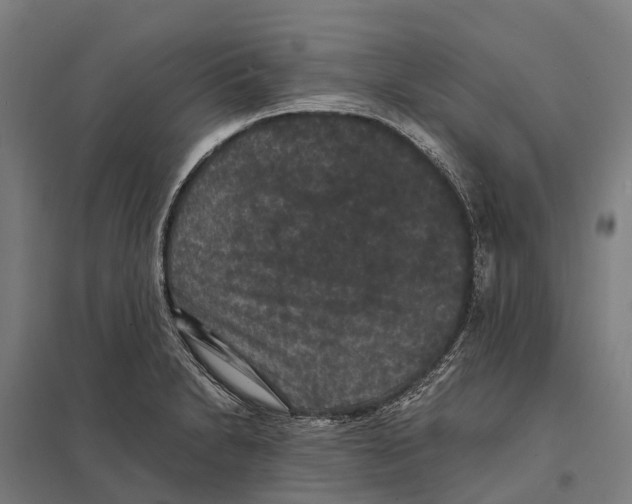X0000097621230200803281029
