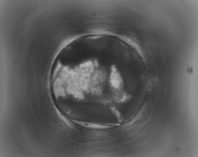 X0000097621231200803281029