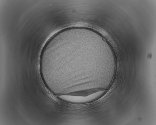 X0000097621232200803281029