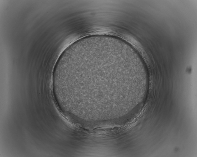 X0000097621234200803281029