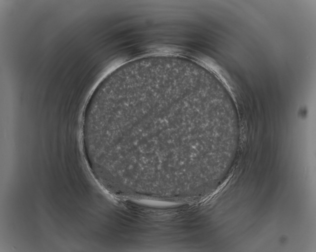 X0000097621235200803281029