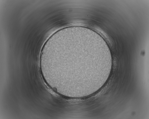 X0000097621236200803281029
