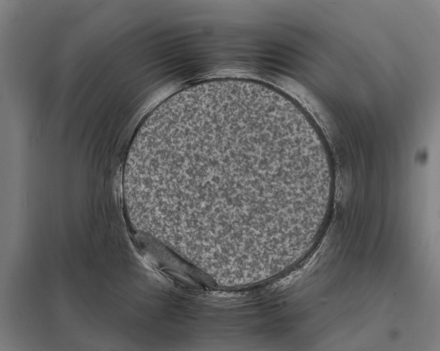 X0000097621241200803281029