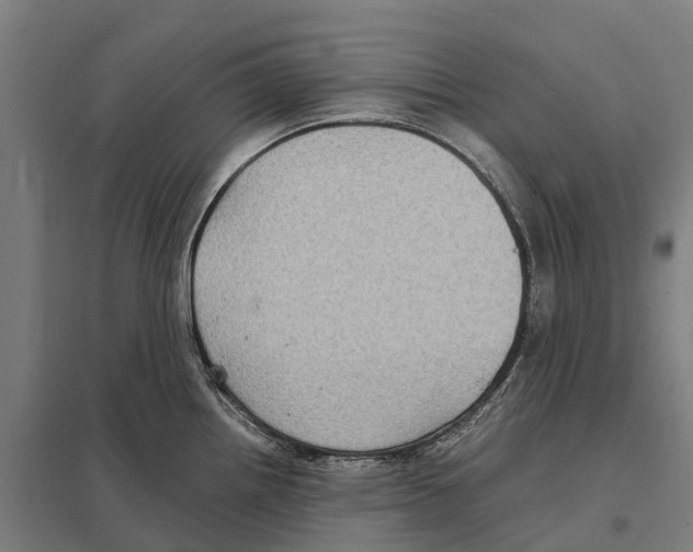 X0000097621242200803281029