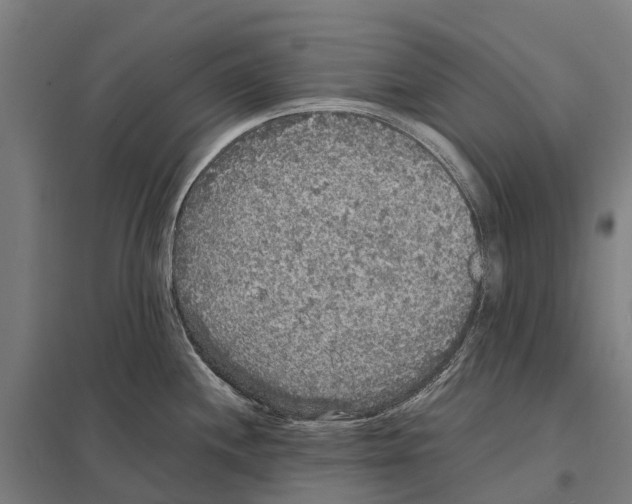 X0000097621244200803281029
