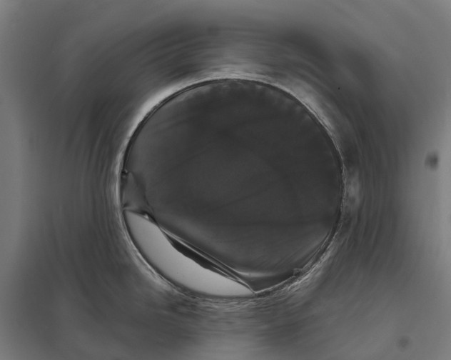 X0000097621246200803281029