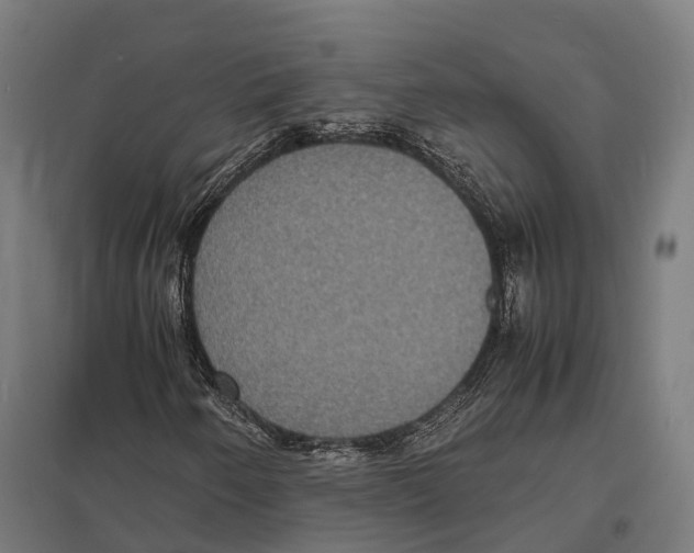 X0000097621250200803281028