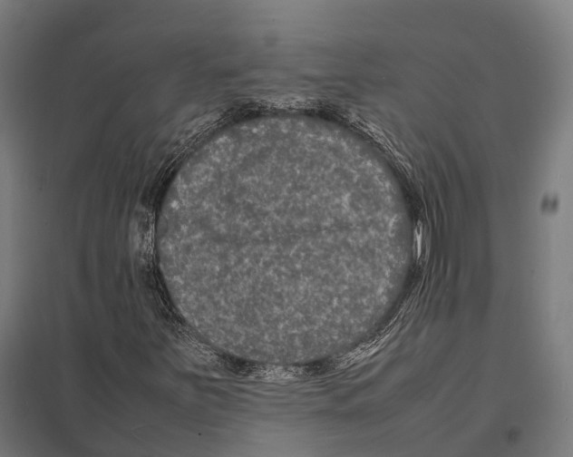 X0000097621251200803281028