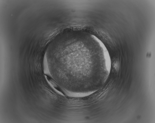 X0000097621252200803281028
