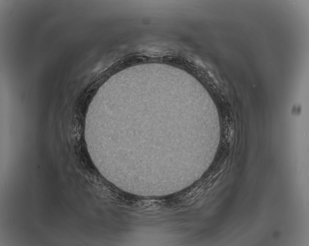 X0000097621253200803281028