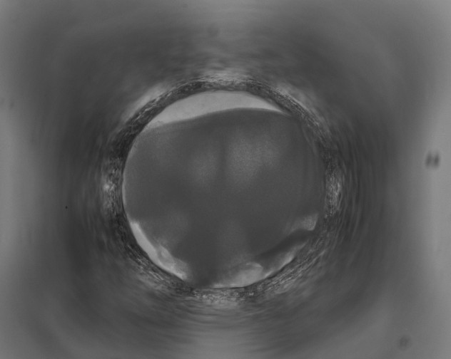 X0000097621254200803281028