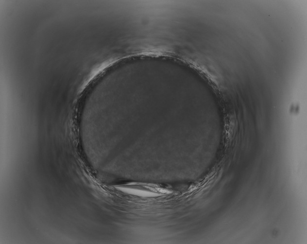 X0000097621256200803281028