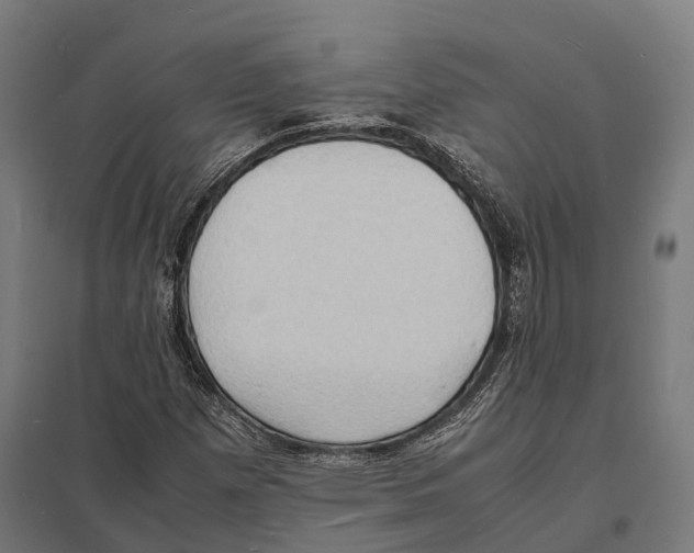 X0000097621257200803281028