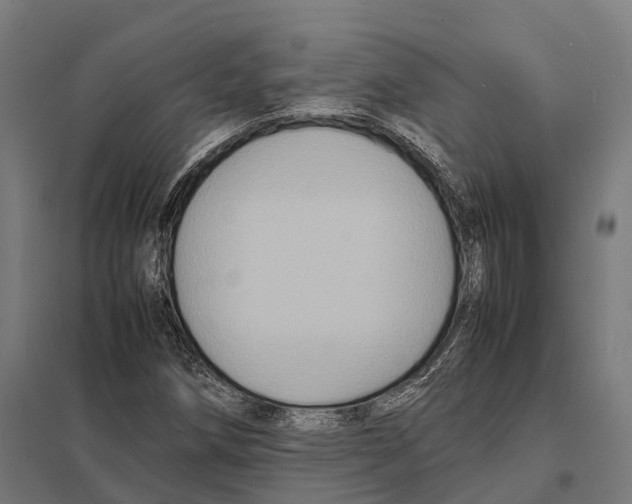 X0000097621258200803281028