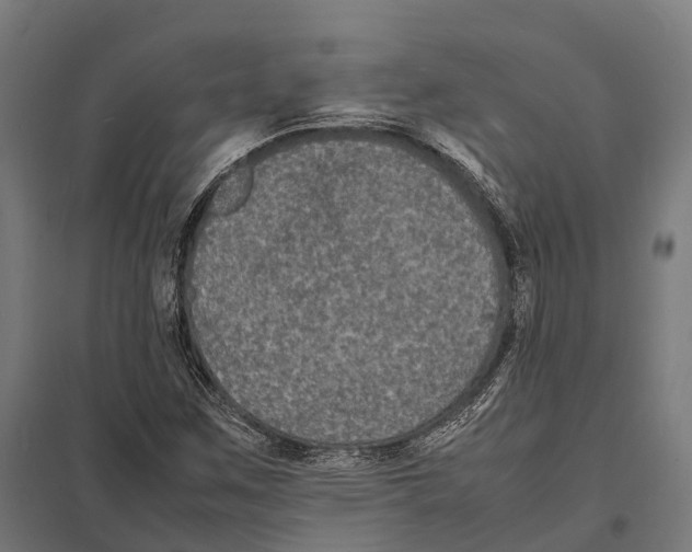 X0000097621259200803281028
