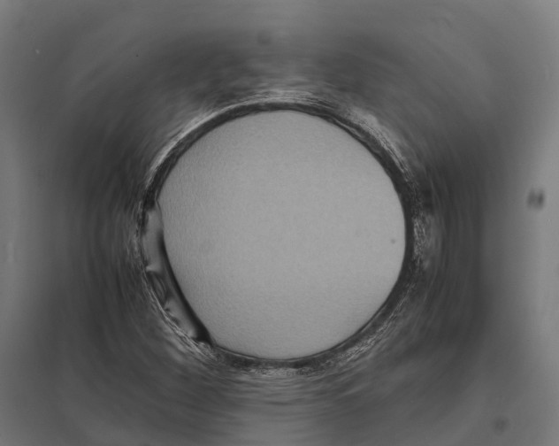 X0000097621260200803281028