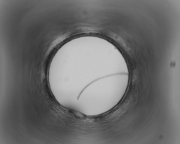 X0000097621261200803281028