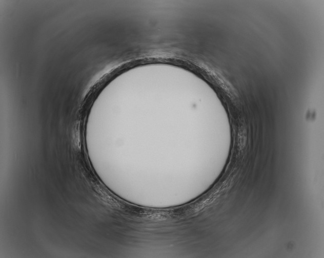 X0000097621262200803281028