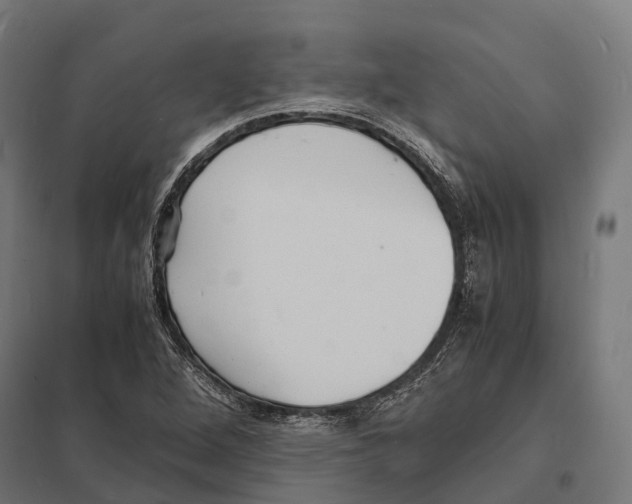 X0000097621264200803281028