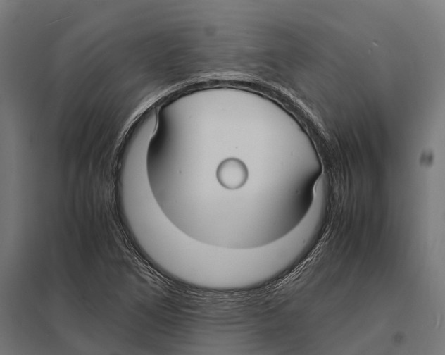 X0000097621266200803281028
