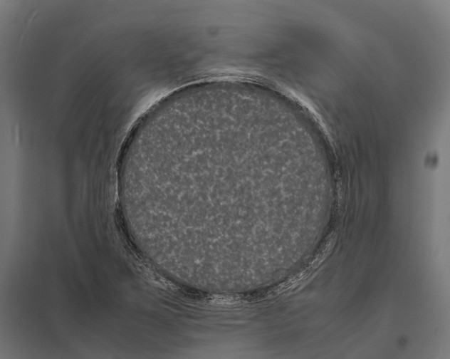 X0000097621267200803281028