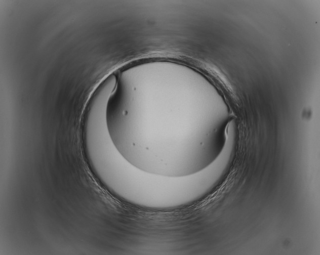 X0000097621268200803281028