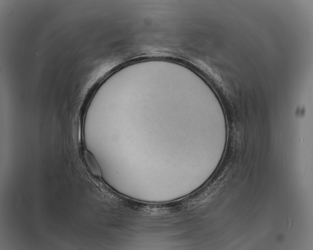 X0000097621269200803281028