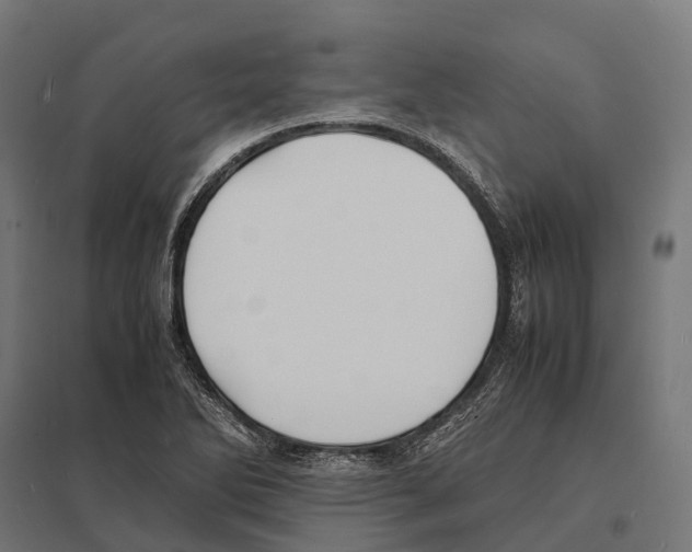 X0000097621270200803281028