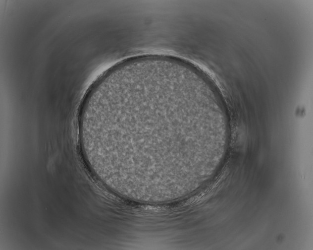 X0000097621271200803281028
