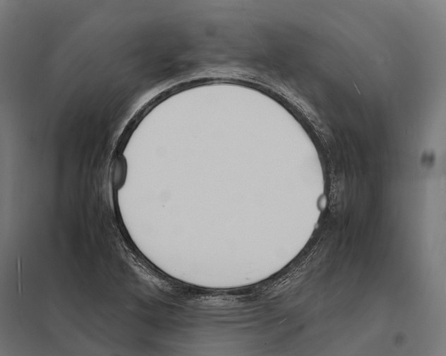 X0000097621272200803281028