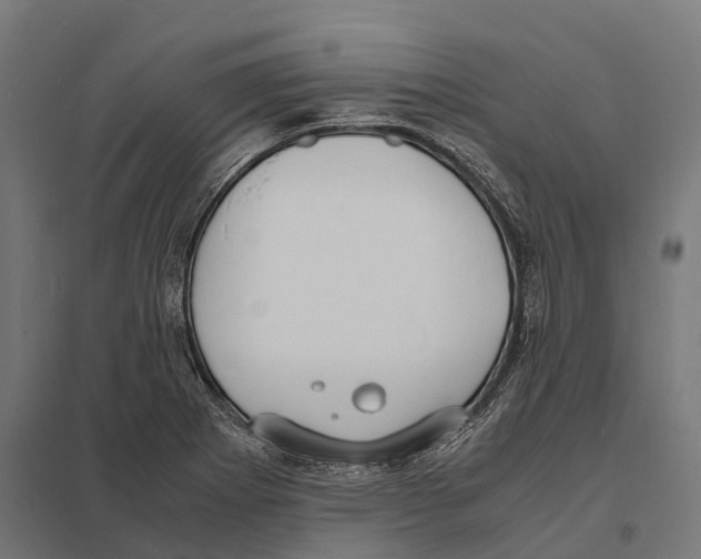 X0000097621273200803281028