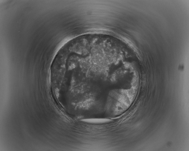 X0000097621275200803281028