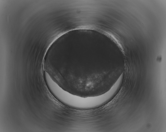 X0000097621276200803281028