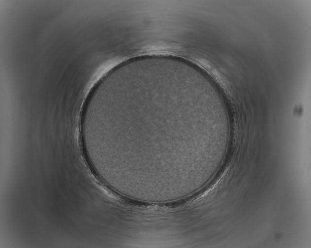 X0000097621277200803281028
