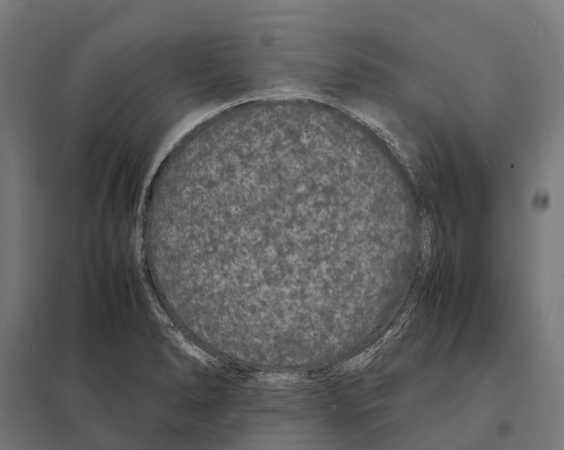 X0000097621278200803281028