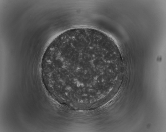 X0000097621279200803281028