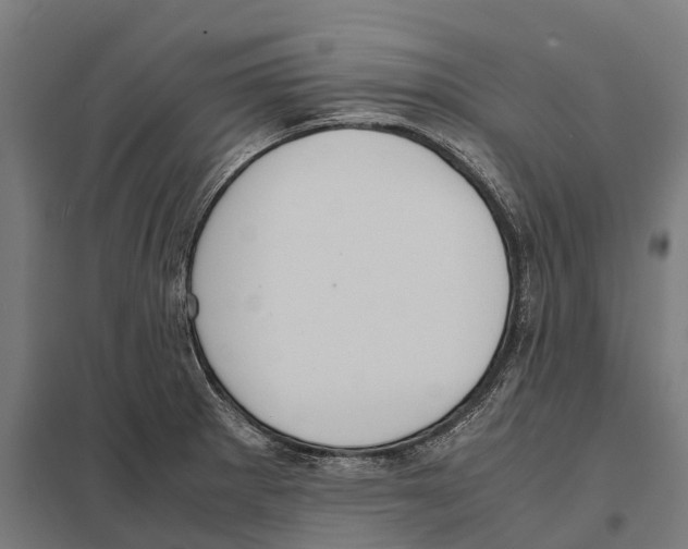 X0000097621281200803281028