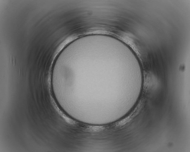 X0000097621282200803281028