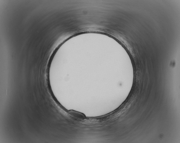X0000097621285200803281028