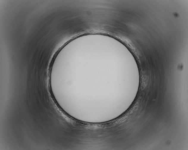 X0000097621286200803281028