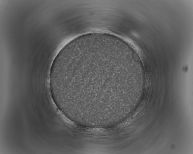 X0000097621287200803281028