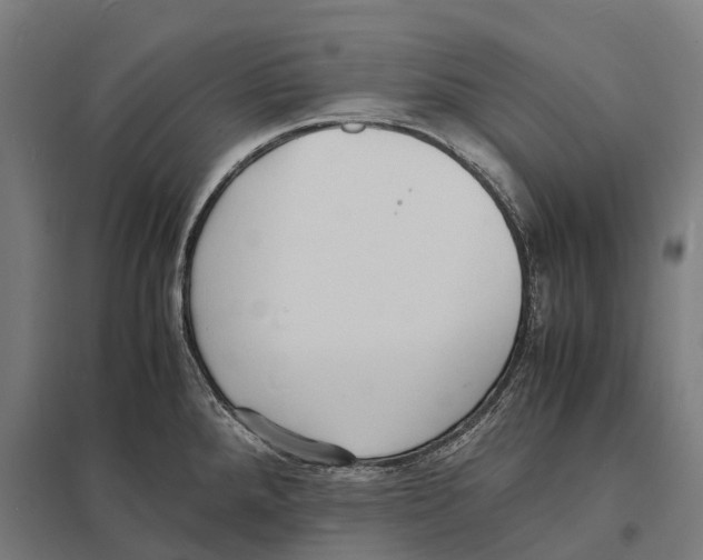 X0000097621288200803281028