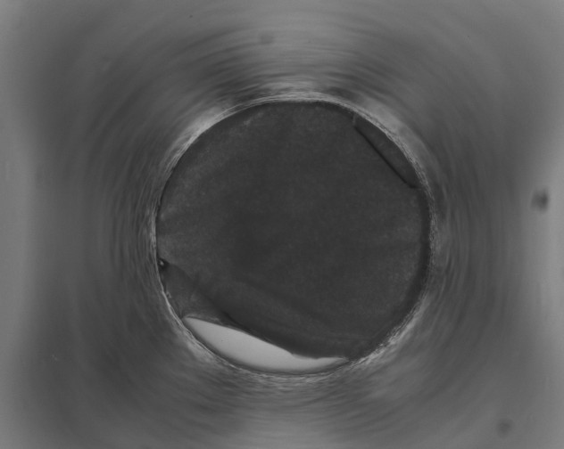 X0000097621289200803281028