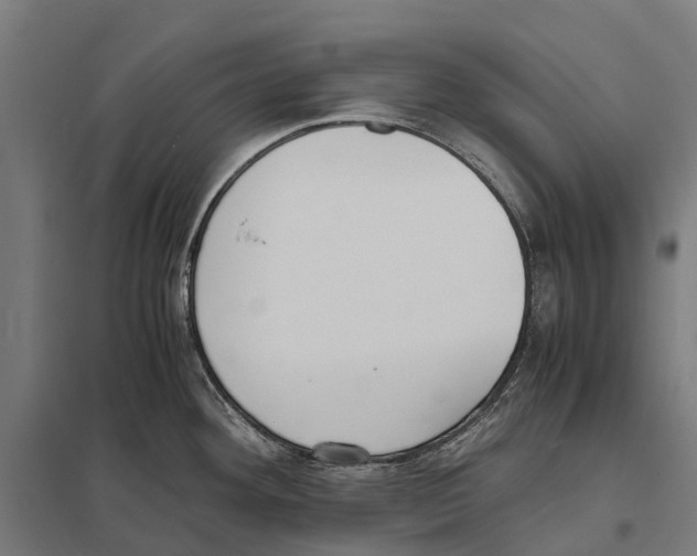 X0000097621292200803281028