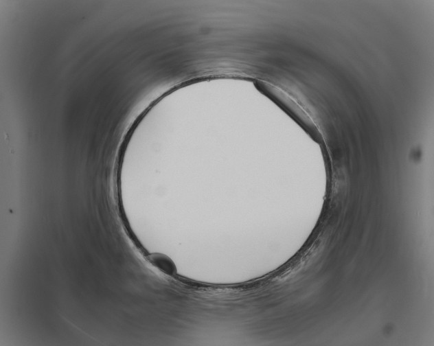 X0000097621293200803281028