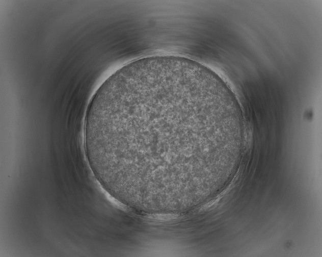 X0000097621294200803281028