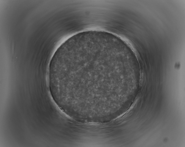 X0000097621295200803281028