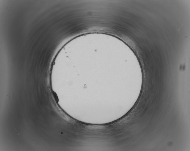 X0000097621296200803281028
