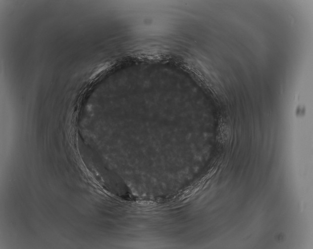 X0000097621297200803281027