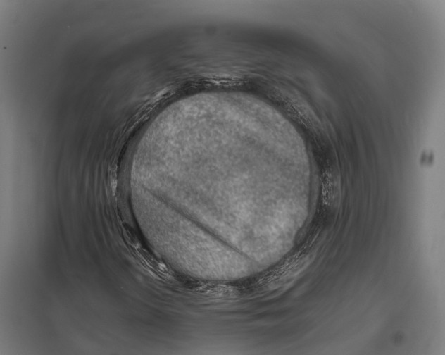 X0000097621298200803281027